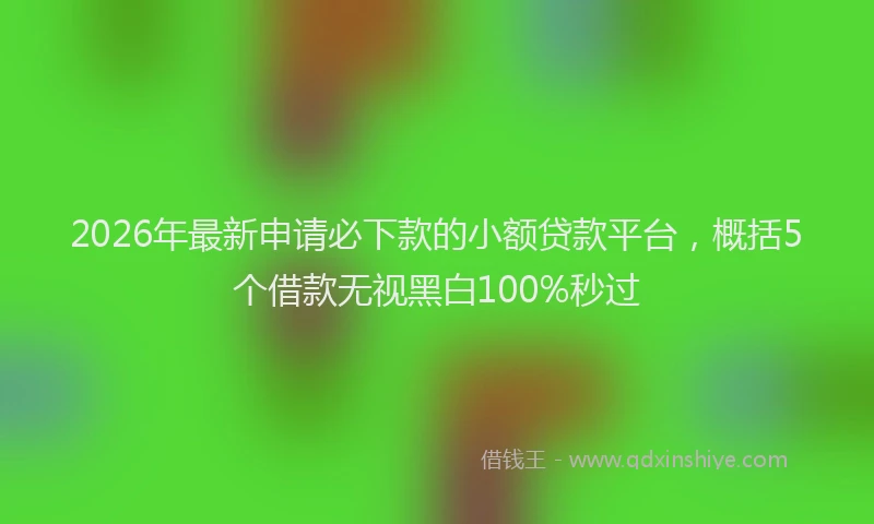 2026年最新申请必下款的小额贷款平台，概括5个借款无视黑白100%秒过