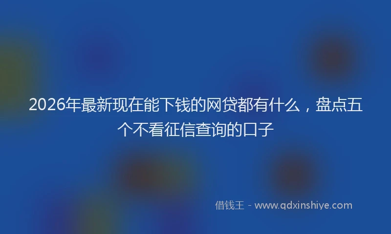 2026年最新现在能下钱的网贷都有什么，盘点五个不看征信查询的口子