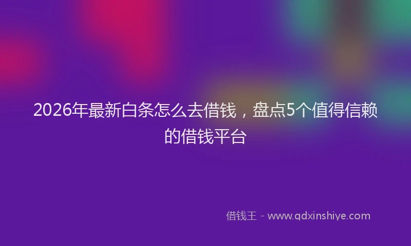 2026年最新白条怎么去借钱，盘点5个值得信赖的借钱平台