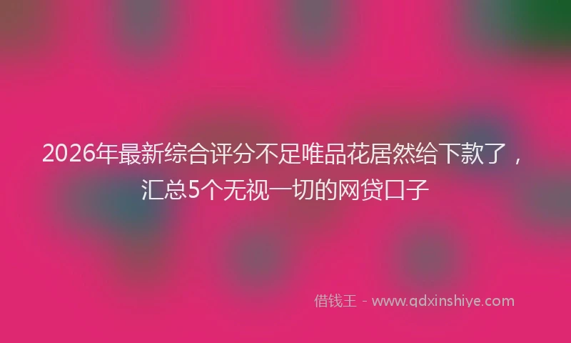 2026年最新综合评分不足唯品花居然给下款了，汇总5个无视一切的网贷口子