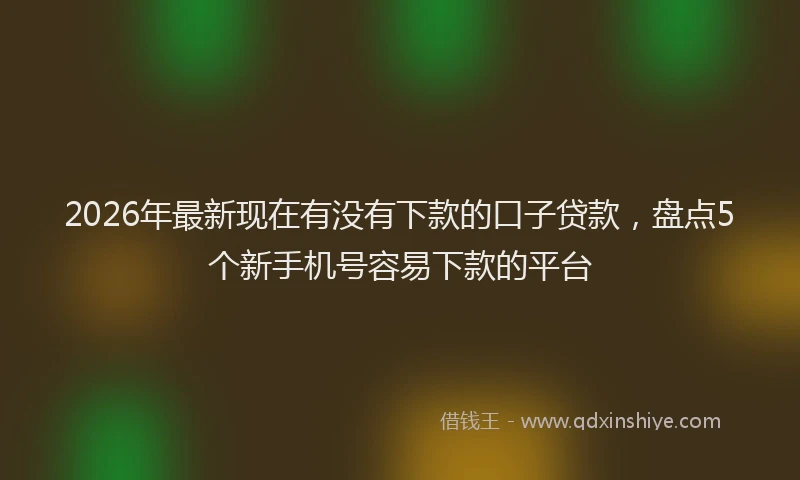 2026年最新现在有没有下款的口子贷款，盘点5个新手机号容易下款的平台