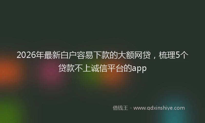 2026年最新白户容易下款的大额网贷，梳理5个贷款不上诚信平台的app