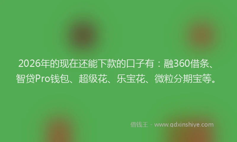2026年的现在还能下款的口子有：融360借条、智贷Pro钱包、超级花、乐宝花、微粒分期宝等。