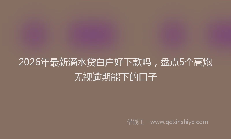 2026年最新滴水贷白户好下款吗，盘点5个高炮无视逾期能下的口子