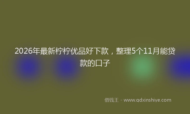 2026年最新柠柠优品好下款，整理5个11月能贷款的口子