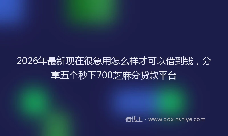 2026年最新现在很急用怎么样才可以借到钱，分享五个秒下700芝麻分贷款平台
