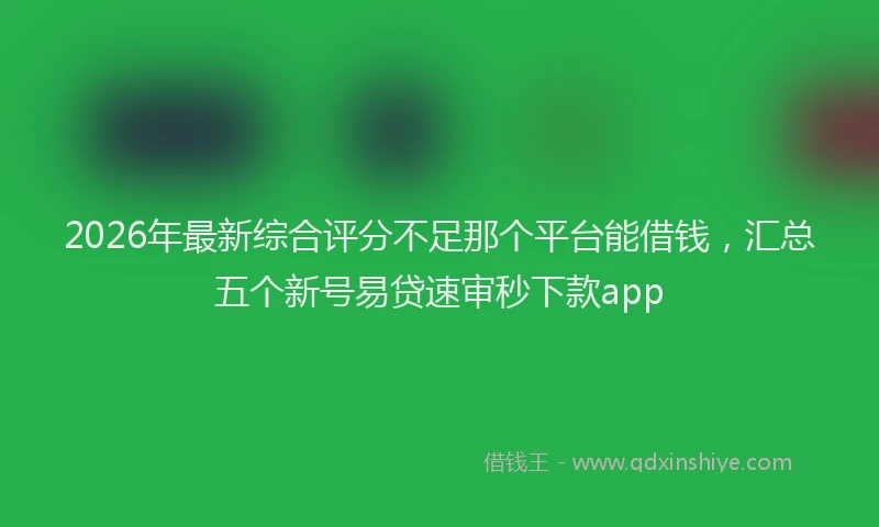 2026年最新综合评分不足那个平台能借钱，汇总五个新号易贷速审秒下款app