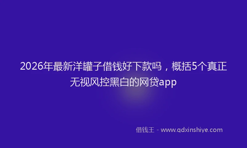 2026年最新洋罐子借钱好下款吗，概括5个真正无视风控黑白的网贷app