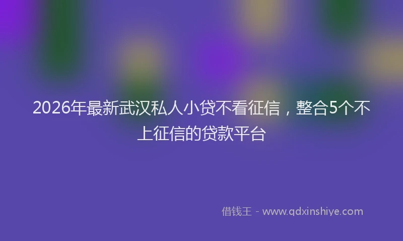 2026年最新武汉私人小贷不看征信，整合5个不上征信的贷款平台