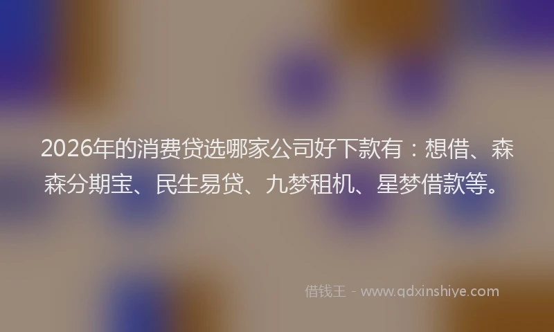 2026年的消费贷选哪家公司好下款有：想借、森森分期宝、民生易贷、九梦租机、星梦借款等。