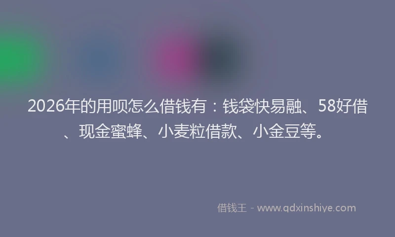 2026年的用呗怎么借钱有：钱袋快易融、58好借、现金蜜蜂、小麦粒借款、小金豆等。