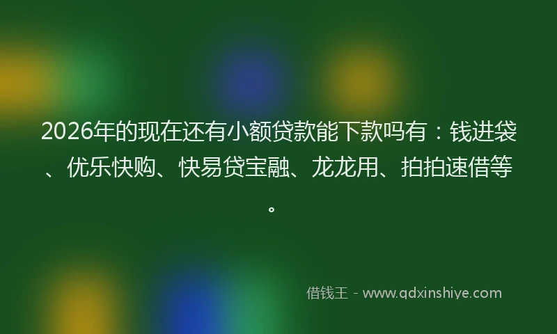 2026年的现在还有小额贷款能下款吗有：钱进袋、优乐快购、快易贷宝融、龙龙用、拍拍速借等。