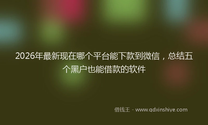 2026年最新现在哪个平台能下款到微信，总结五个黑户也能借款的软件