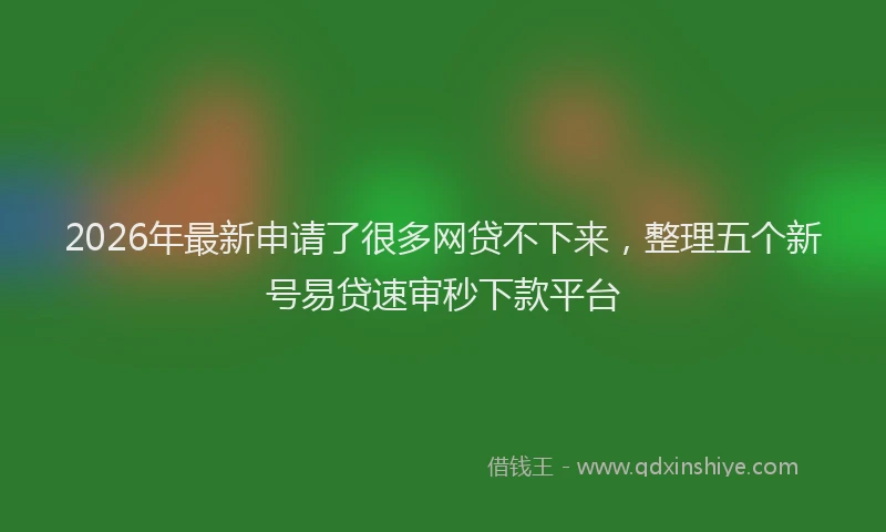 2026年最新申请了很多网贷不下来，整理五个新号易贷速审秒下款平台