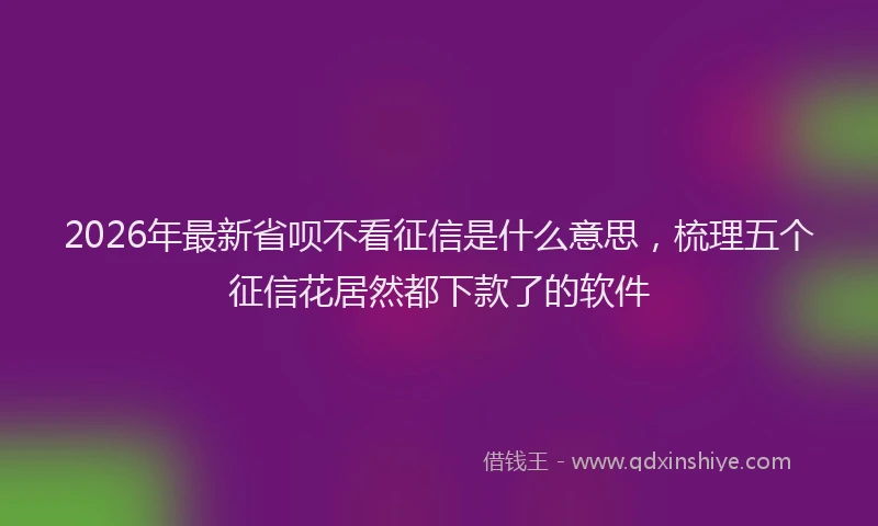 2026年最新省呗不看征信是什么意思，梳理五个征信花居然都下款了的软件