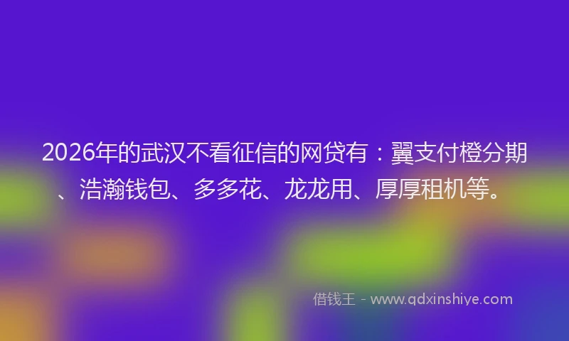 2026年的武汉不看征信的网贷有：翼支付橙分期、浩瀚钱包、多多花、龙龙用、厚厚租机等。