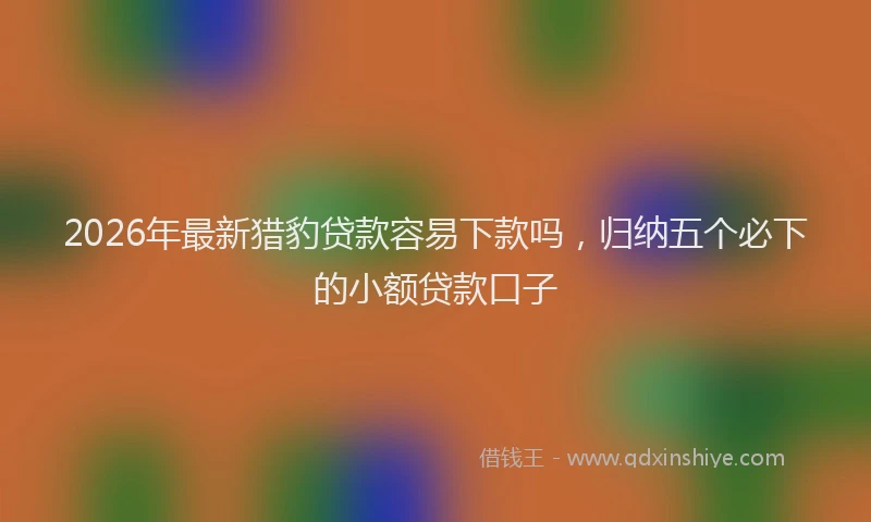 2026年最新猎豹贷款容易下款吗，归纳五个必下的小额贷款口子