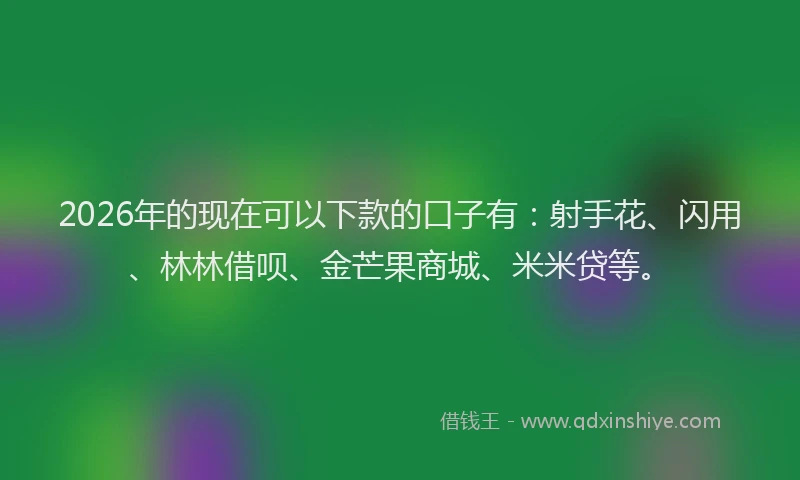 2026年的现在可以下款的口子有：射手花、闪用、林林借呗、金芒果商城、米米贷等。
