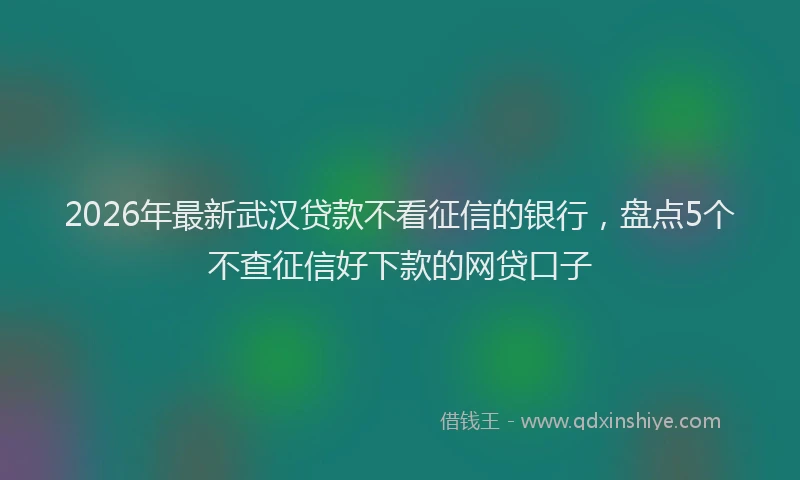 2026年最新武汉贷款不看征信的银行，盘点5个不查征信好下款的网贷口子