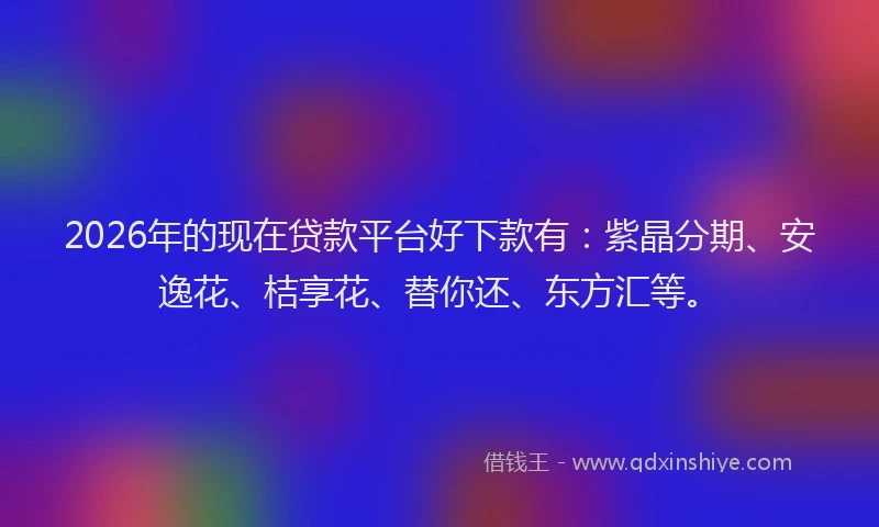 2026年的现在贷款平台好下款有：紫晶分期、安逸花、桔享花、替你还、东方汇等。