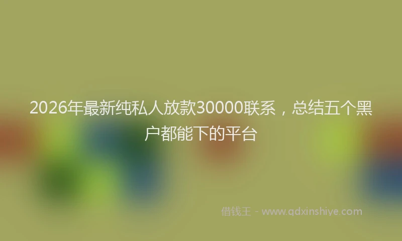 2026年最新纯私人放款30000联系，总结五个黑户都能下的平台