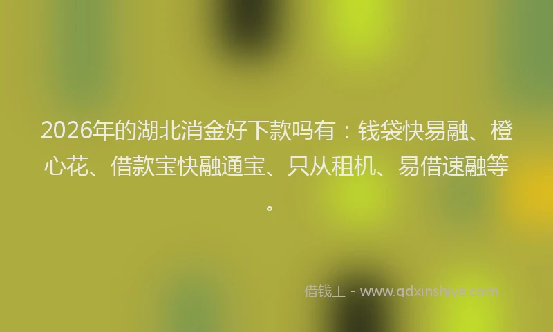 2026年的湖北消金好下款吗有：钱袋快易融、橙心花、借款宝快融通宝、只从租机、易借速融等。