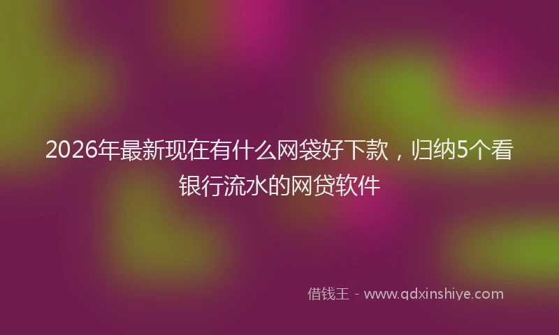 2026年最新现在有什么网袋好下款，归纳5个看银行流水的网贷软件