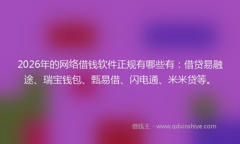 2026年的网络借钱软件正规有哪些有：借贷易融途、瑞宝钱包、甄易借、闪电通、米米贷等。