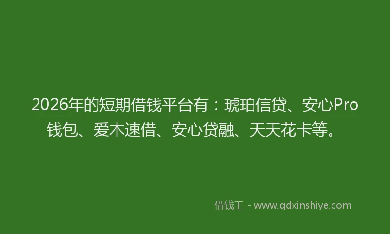 2026年的短期借钱平台有：琥珀信贷、安心Pro钱包、爱木速借、安心贷融、天天花卡等。