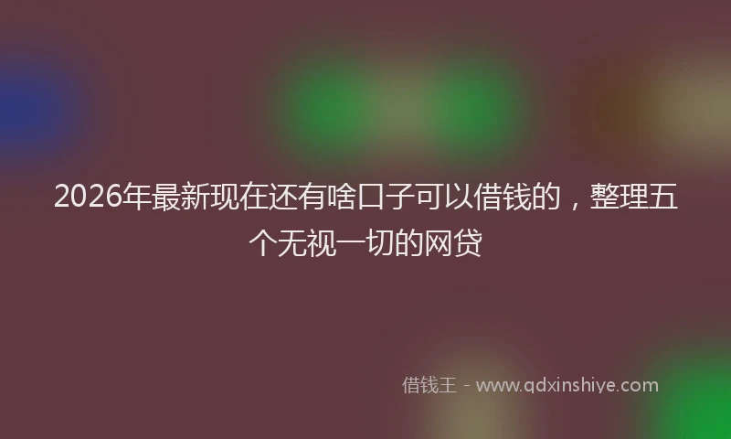 2026年最新现在还有啥口子可以借钱的，整理五个无视一切的网贷