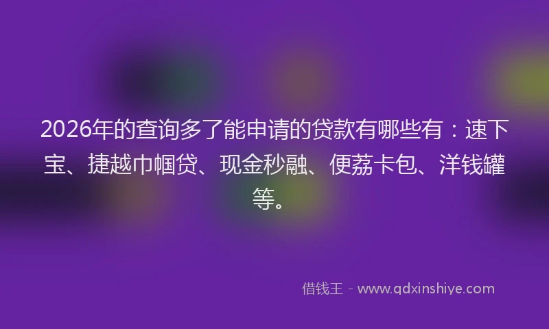 2026年的查询多了能申请的贷款有哪些有：速下宝、捷越巾帼贷、现金秒融、便荔卡包、洋钱罐等。