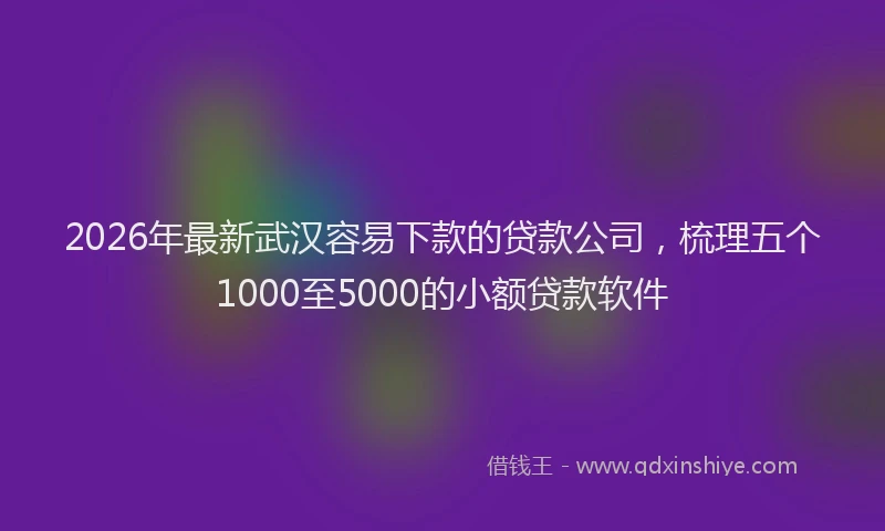 2026年最新武汉容易下款的贷款公司，梳理五个1000至5000的小额贷款软件