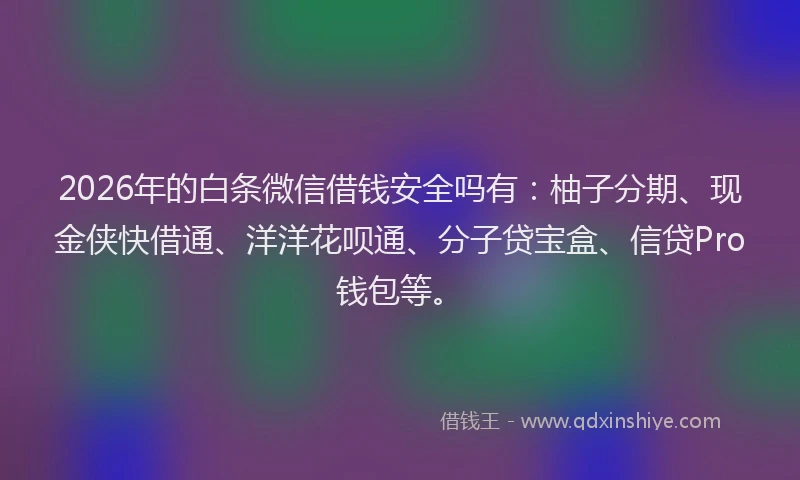 2026年的白条微信借钱安全吗有：柚子分期、现金侠快借通、洋洋花呗通、分子贷宝盒、信贷Pro钱包等。