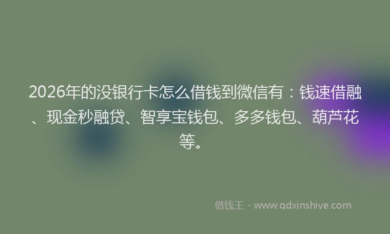 2026年的没银行卡怎么借钱到微信有：钱速借融、现金秒融贷、智享宝钱包、多多钱包、葫芦花等。