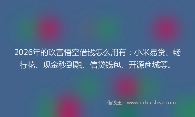 2026年的玖富悟空借钱怎么用有：小米易贷、畅行花、现金秒到融、信贷钱包、开源商城等。