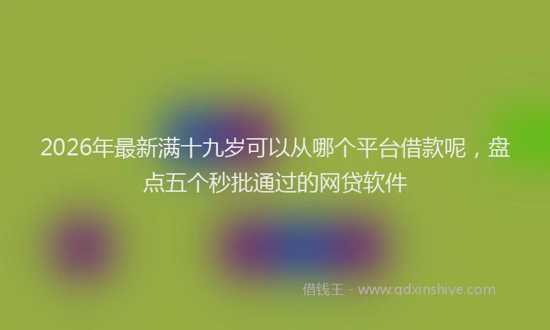 2026年最新满十九岁可以从哪个平台借款呢，盘点五个秒批通过的网贷软件