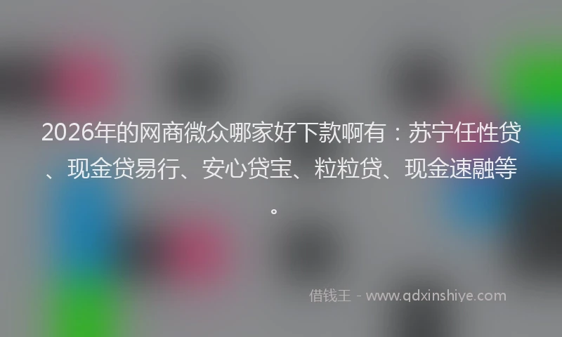 2026年的网商微众哪家好下款啊有：苏宁任性贷、现金贷易行、安心贷宝、粒粒贷、现金速融等。