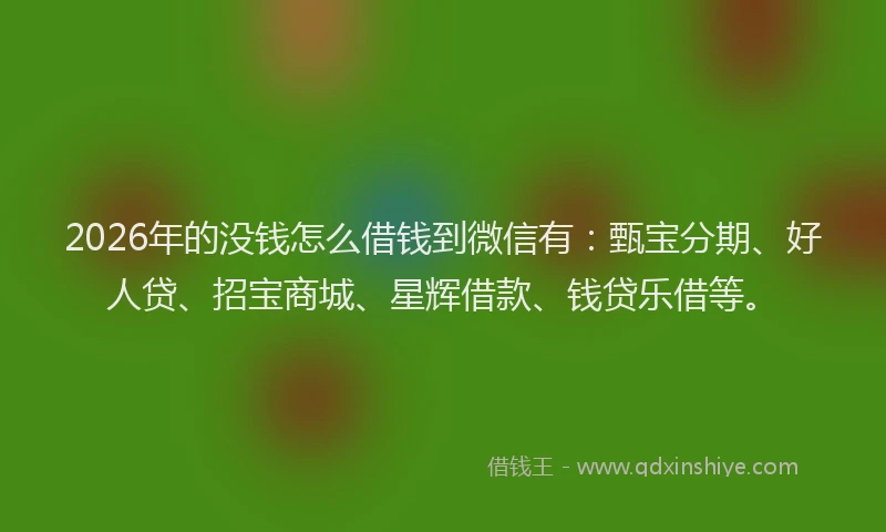2026年的没钱怎么借钱到微信有：甄宝分期、好人贷、招宝商城、星辉借款、钱贷乐借等。