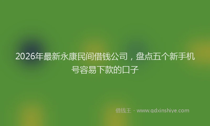2026年最新永康民间借钱公司，盘点五个新手机号容易下款的口子