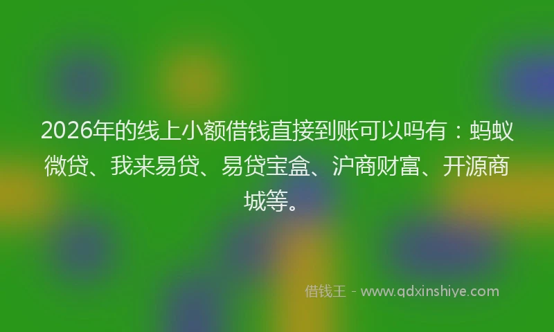 2026年的线上小额借钱直接到账可以吗有：蚂蚁微贷、我来易贷、易贷宝盒、沪商财富、开源商城等。