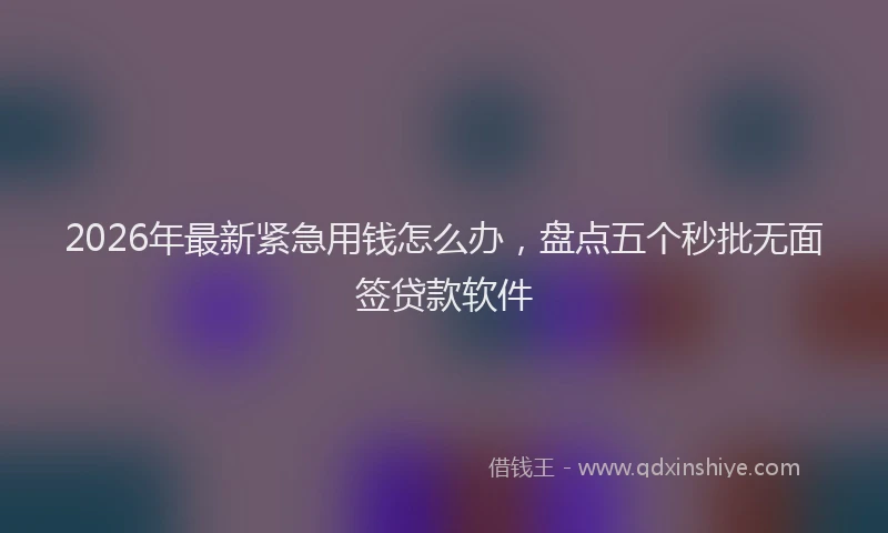 2026年最新紧急用钱怎么办，盘点五个秒批无面签贷款软件