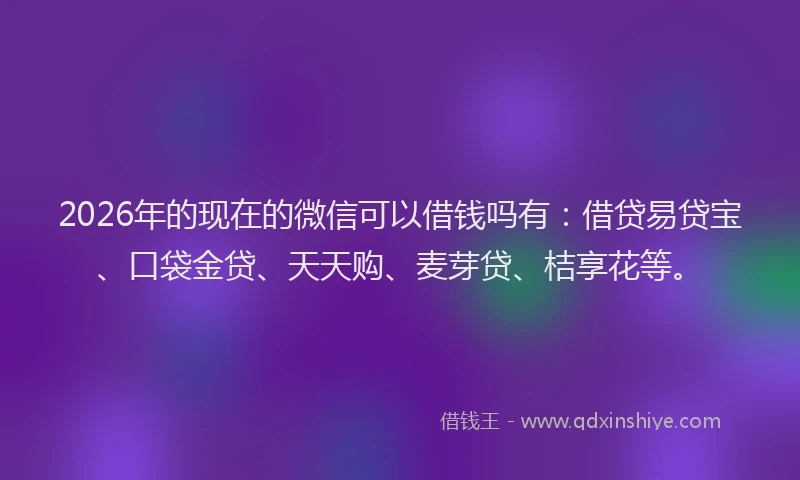 2026年的现在的微信可以借钱吗有：借贷易贷宝、口袋金贷、天天购、麦芽贷、桔享花等。