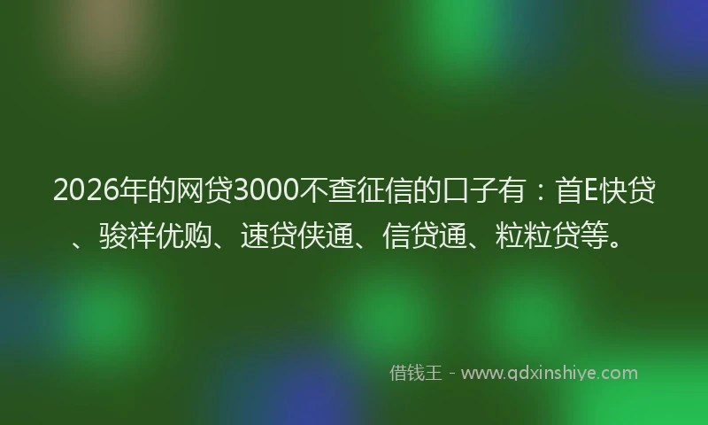 2026年的网贷3000不查征信的口子有：首E快贷、骏祥优购、速贷侠通、信贷通、粒粒贷等。