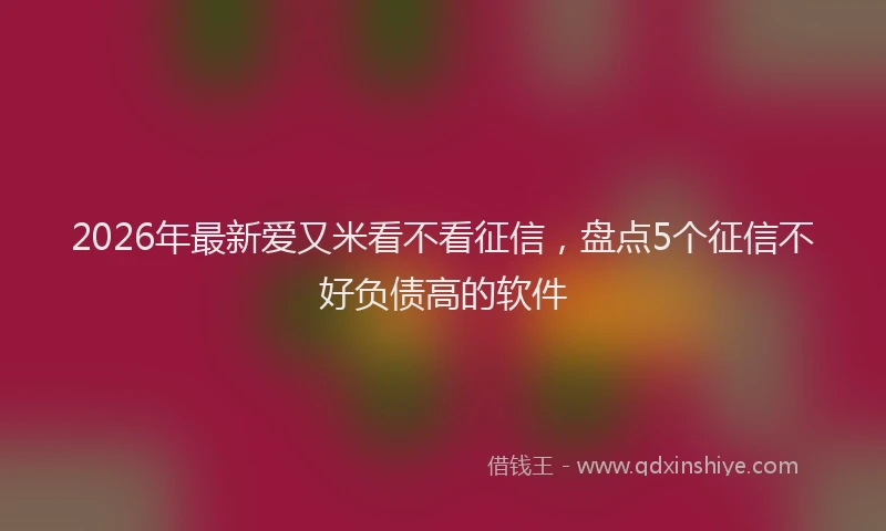2026年最新爱又米看不看征信，盘点5个征信不好负债高的软件