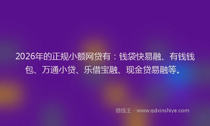 2026年的正规小额网贷有：钱袋快易融、有钱钱包、万通小贷、乐借宝融、现金贷易融等。