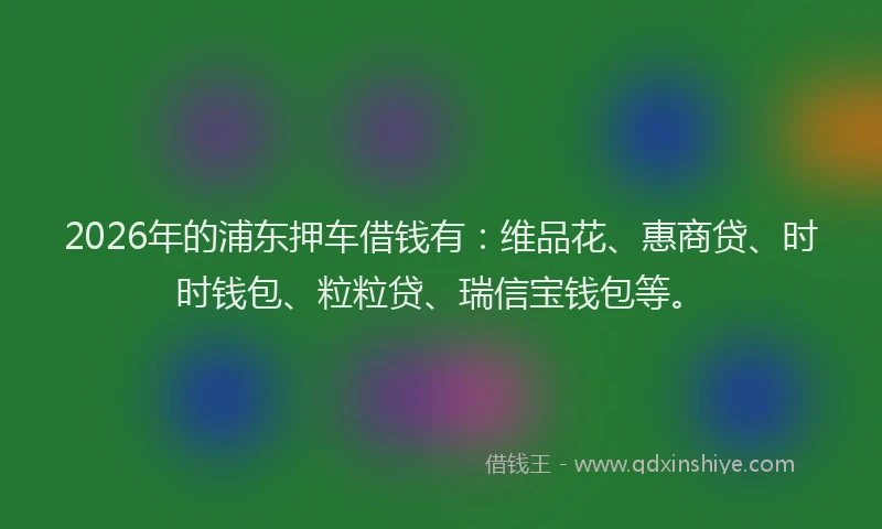 2026年的浦东押车借钱有：维品花、惠商贷、时时钱包、粒粒贷、瑞信宝钱包等。