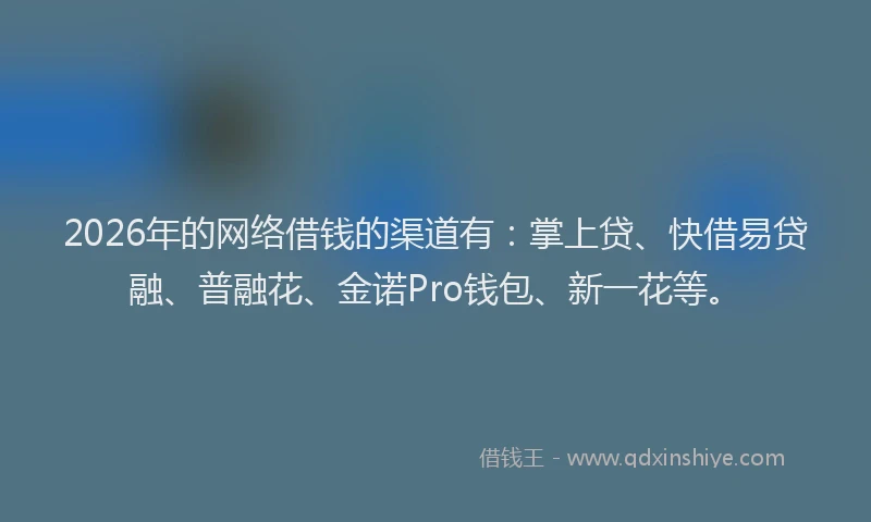 2026年的网络借钱的渠道有：掌上贷、快借易贷融、普融花、金诺Pro钱包、新一花等。