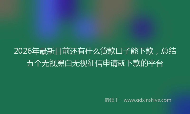 2026年最新目前还有什么贷款口子能下款，总结五个无视黑白无视征信申请就下款的平台