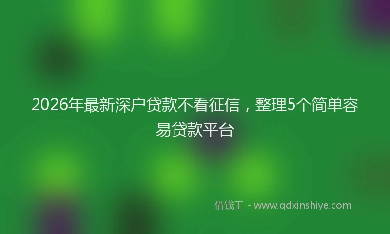 2026年最新深户贷款不看征信，整理5个简单容易贷款平台