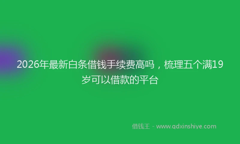 2026年最新白条借钱手续费高吗，梳理五个满19岁可以借款的平台
